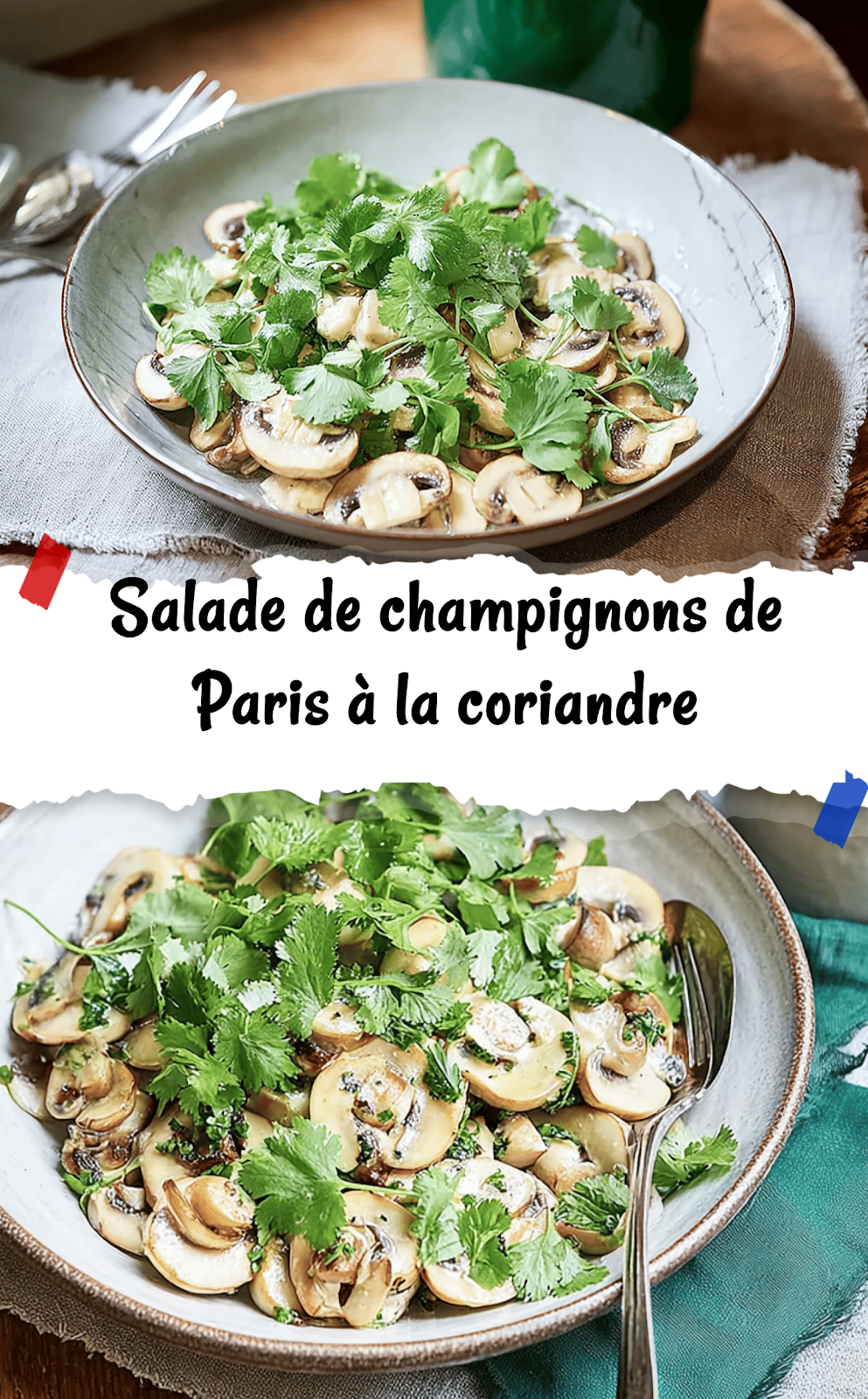 Salade de champignons de Paris à la coriandre
