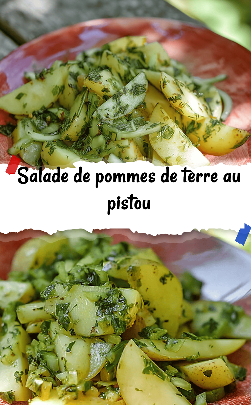 Salade de pommes de terre au pistou
